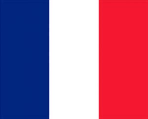 Fournitures: injecteur, pompes et résines pour la France